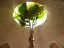 pict0036