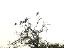 pict0173
