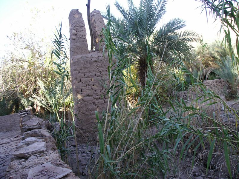 pict0033_1jpg